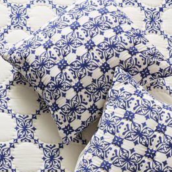 Anthropologie Other - Anthropologie Talara Euro Sham SINGLE